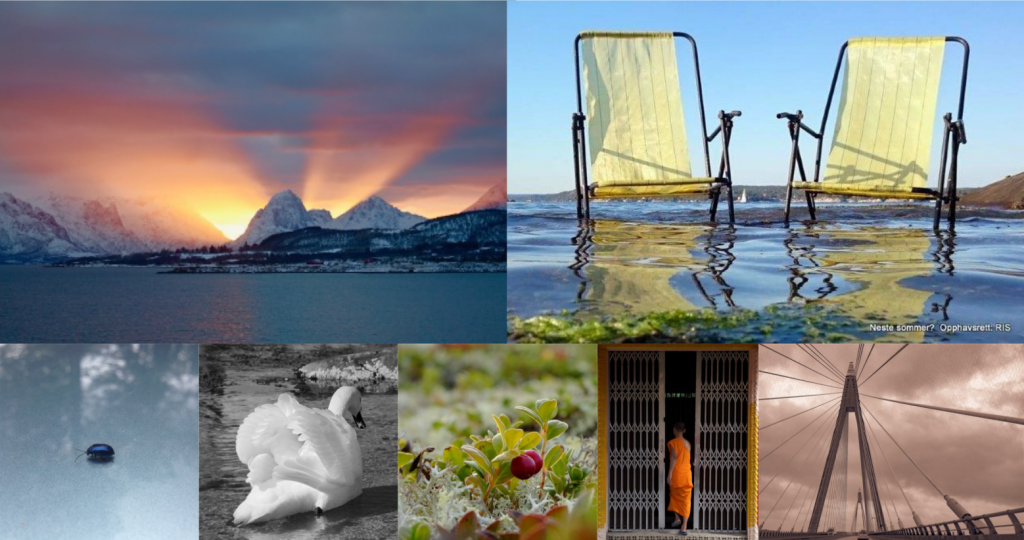 Mosaikk av fotografier